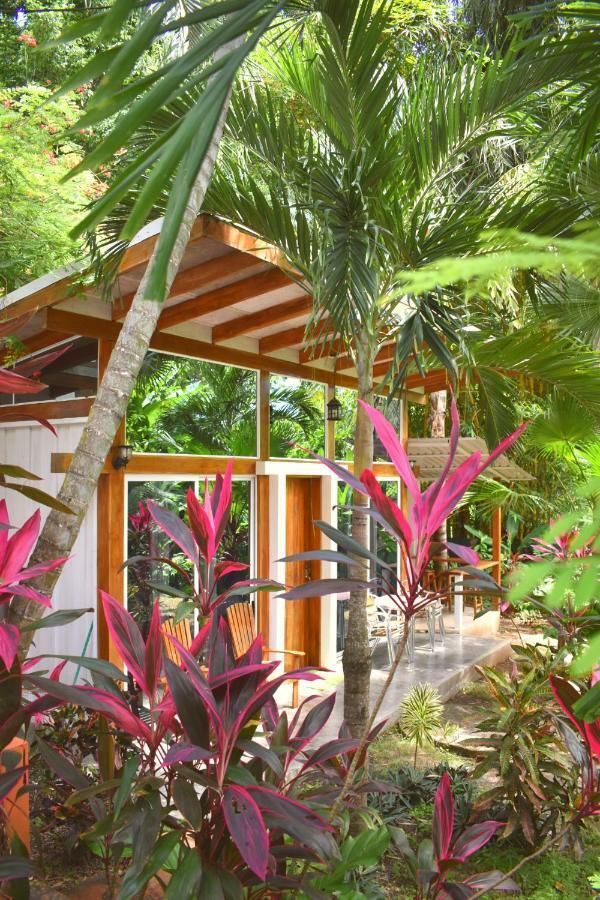 Fuego Lodge Playa Santa Teresa  Eksteriør billede